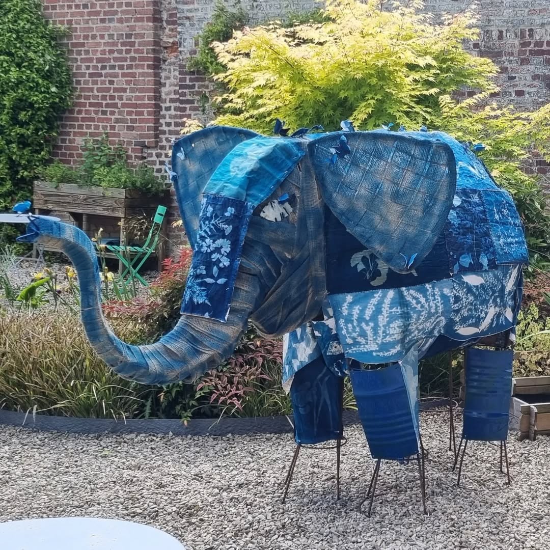 Un éléphant installé à la mediatheque de saint quentin